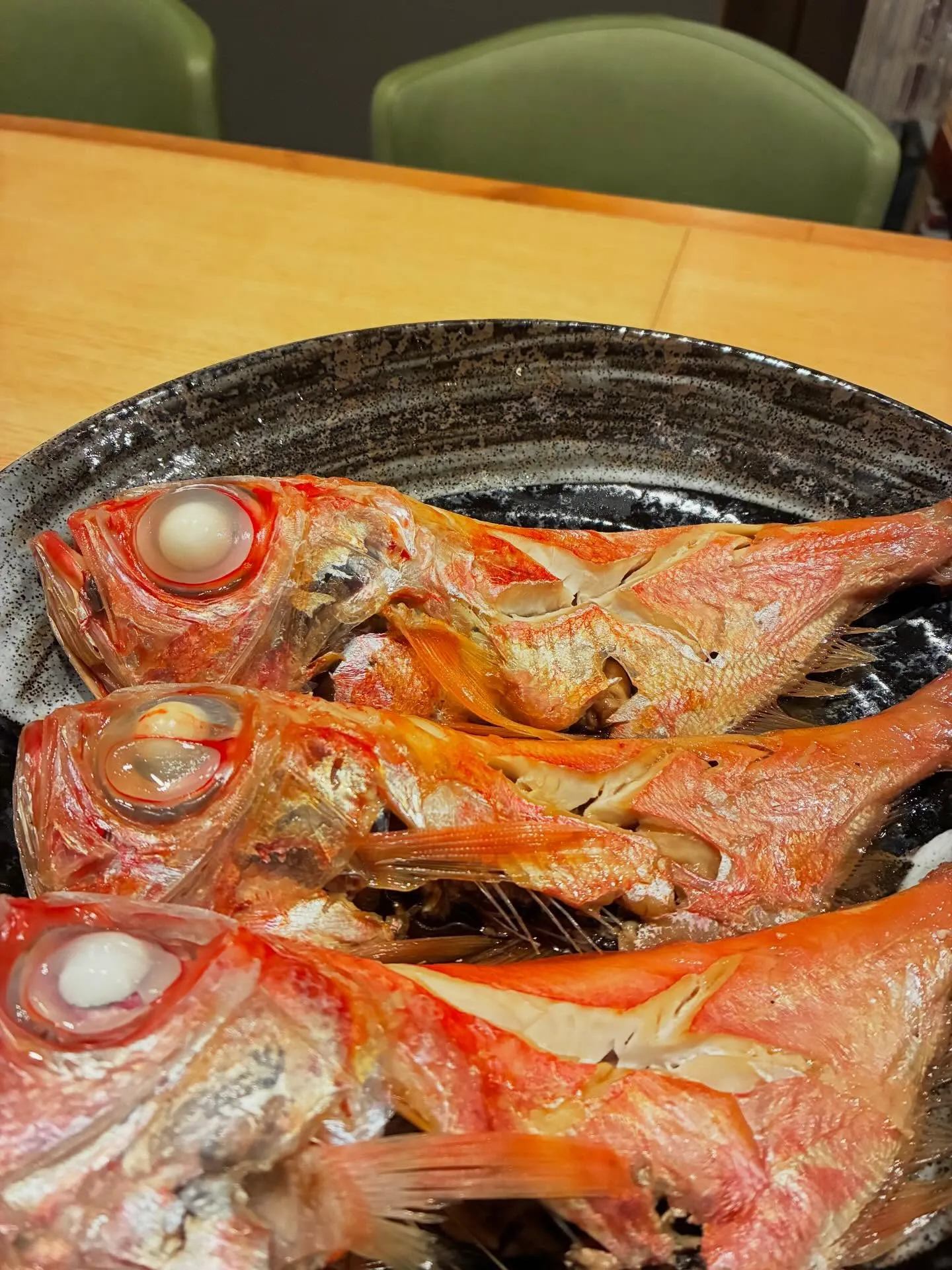 桜の木も緑が目立ってきましたね🌸